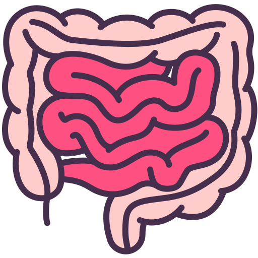 intestine